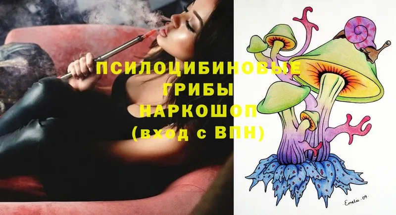 Галлюциногенные грибы Magic Shrooms  mega ONION  Богородицк 